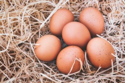 Beechwood Large Free range Eggs